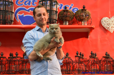 Katttenshow Arendonk 2020 DSC 0353