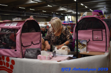 Antwerpen 2019DSC 0155