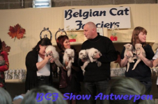 antwerpen 2012 157