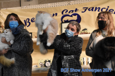 Show Antwerpen 2021 292