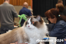 Arendonk 2024 263