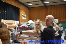 DSC 0063
