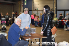 Schow Antwerpen 2023 075