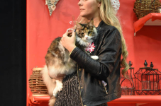 Katttenshow Arendonk 2020 DSC 0647
