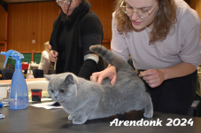 Arendonk 2024 077