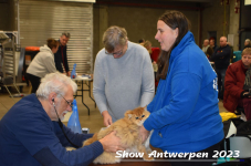 Schow Antwerpen 2023 046