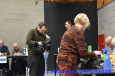 DSC 0152