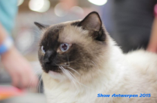 antw 2015 230