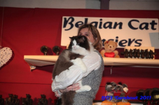 bcf antw 2010 181