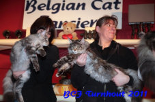 bcf antw 2010 260