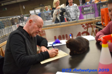 Antwerpen 2019DSC 0137