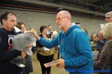 antwerp 2018 0236