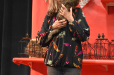 Katttenshow Arendonk 2020 DSC 0578