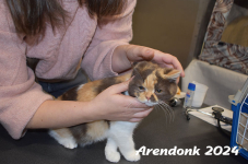Arendonk 2024 111