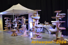 Antwerpen 065