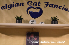 Antwerp 2022363