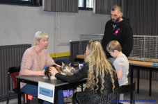 Katttenshow Arendonk 2020 DSC 0174