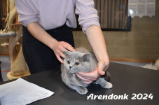 Arendonk 2024 131