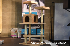Antwerp 2022369