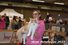 Schow Antwerpen 2023 258