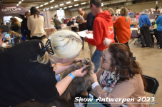 Schow Antwerpen 2023 157