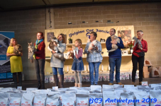 Antwerpen 2019DSC 0320