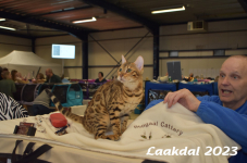Laakdal 2023 283