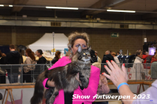 Schow Antwerpen 2023 260