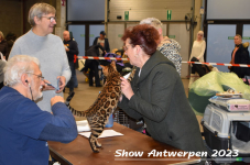 Schow Antwerpen 2023 082