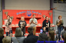turnhout 2019-0402