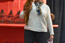 Katttenshow Arendonk 2020 DSC 0339