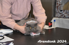 Arendonk 2024 057