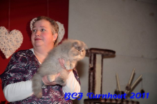 bcf antw 2010 268