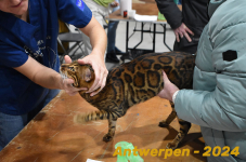 Antwerpen 090