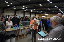 Laakdal 2023 343