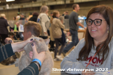 Schow Antwerpen 2023 302