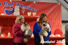 Laakdal 2023 299