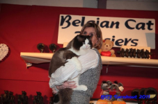 bcf antw 2010 182