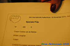 antwerp 2018 0516