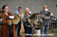 Antwerp 2022158