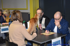 Katttenshow Arendonk 2020 DSC 0180