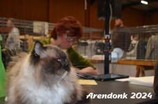 Arendonk 2024 287