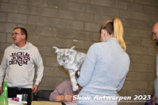 Schow Antwerpen 2023 167