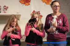 antw 2015 251