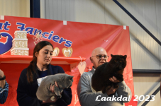 Laakdal 2023 415