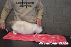 Arendonk 2024 171