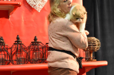 Katttenshow Arendonk 2020 DSC 0586
