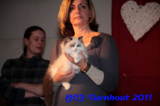 bcf antw 2010 269
