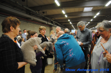 antwerp 2018 0229