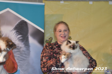 Schow Antwerpen 2023 394